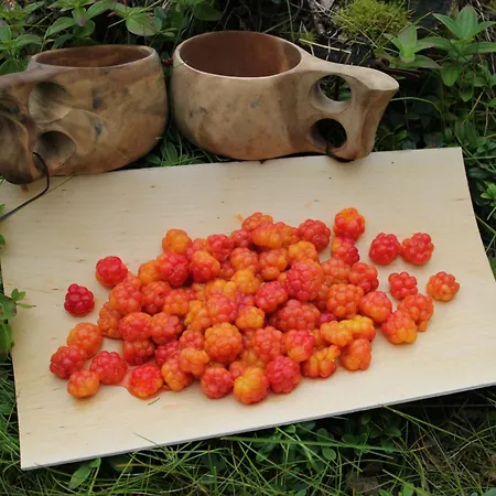 Village Nuorgamin Ośrodek wypoczynkowy 3*